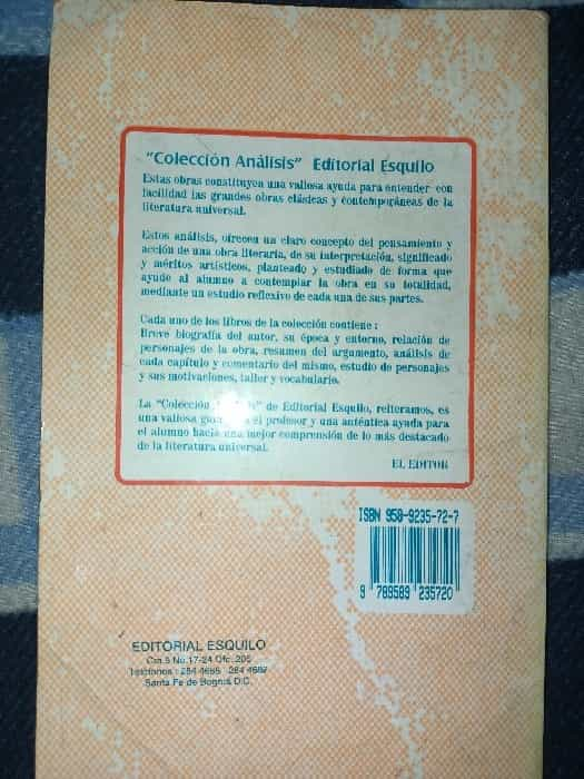 Análisis Literario Rayuela 