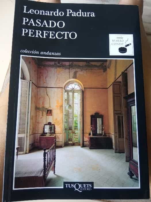 Pasado perfecto: Un viaje fascinante a través del tiempo y la historia.