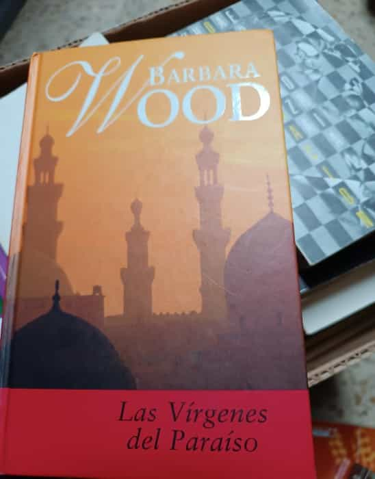 Las Vírgenes: Una cautivadora historia llena de misterio y pasión