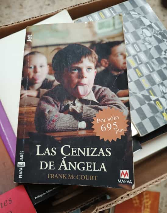 Cenizas De Angela: Una conmovedora historia de superación y resiliencia