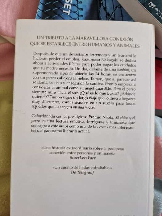 Una conmovedora amistad en ‘El chico y el perro’: Una historia para el corazón.