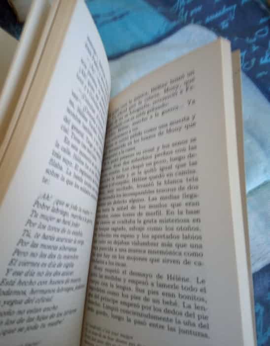 Imagen 3 del libro Las Once mil vergas