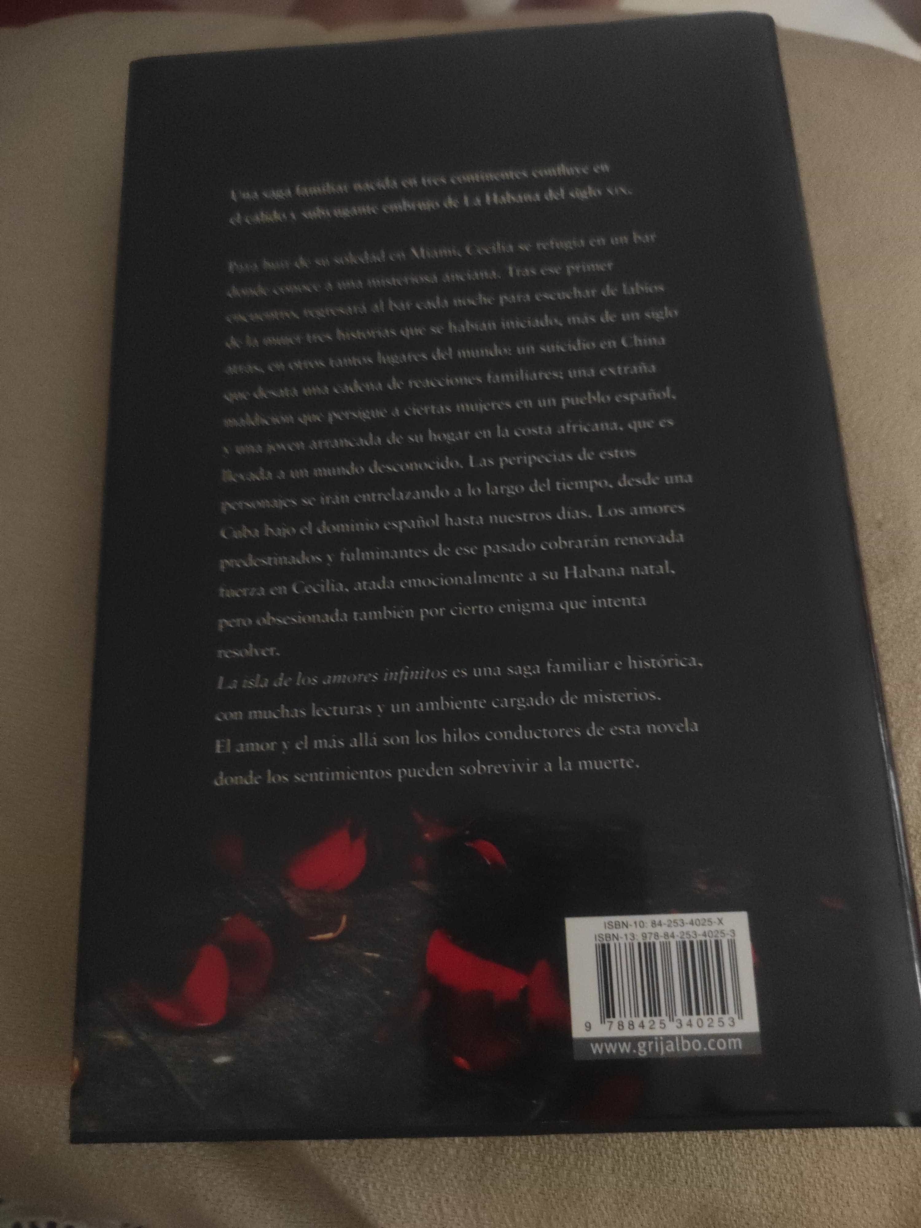 Imagen 2 del libro La isla de los amores infinitos