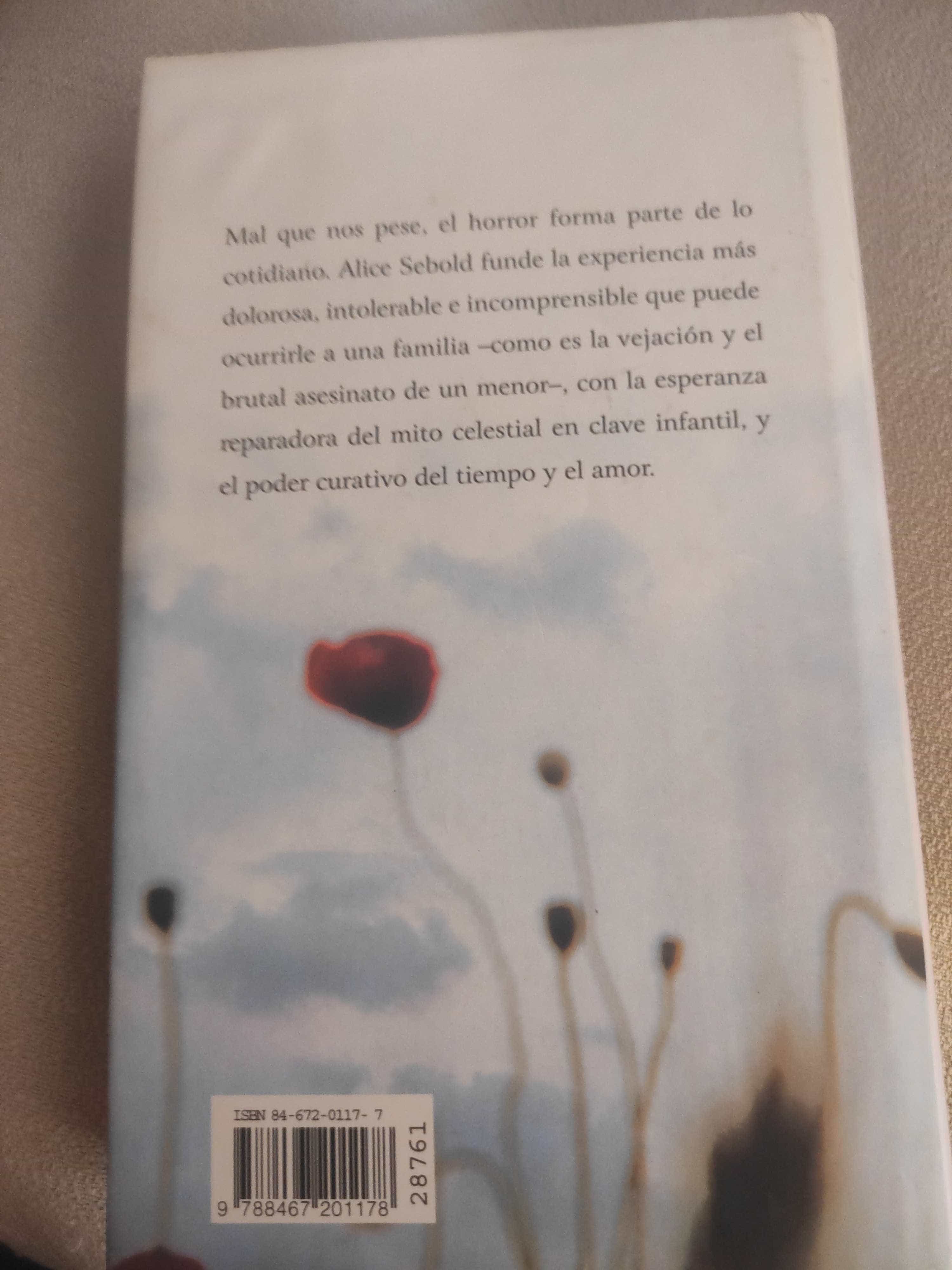 Imagen 2 del libro Desde Mi Cielo