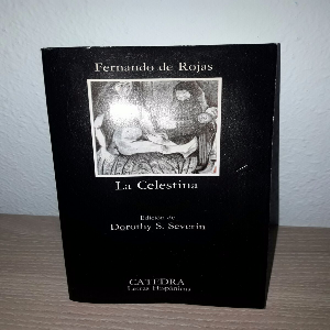 La Celestina: Un retrato vívido del amor y la pasión