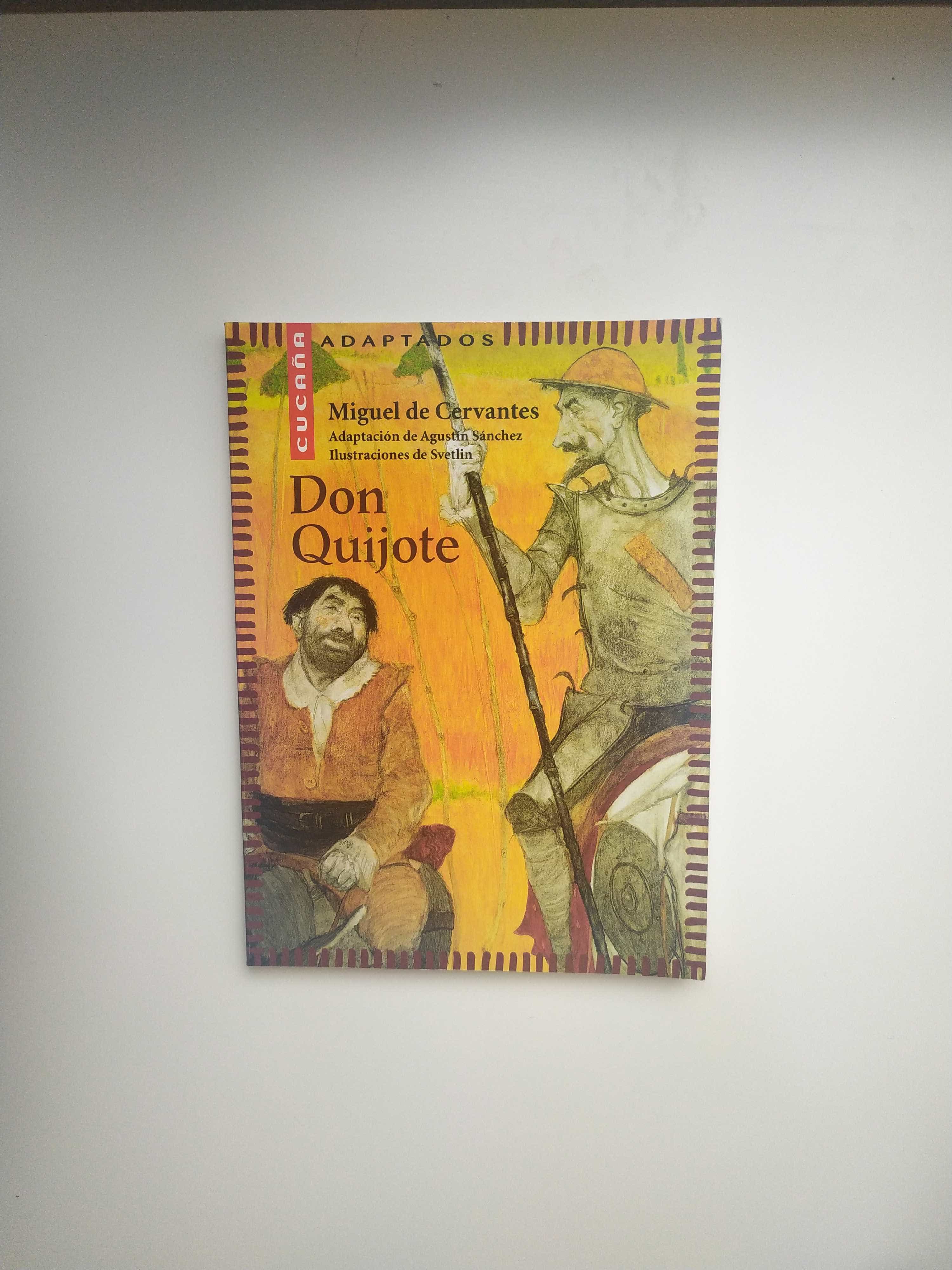 Libro de segunda mano: Don Quijote