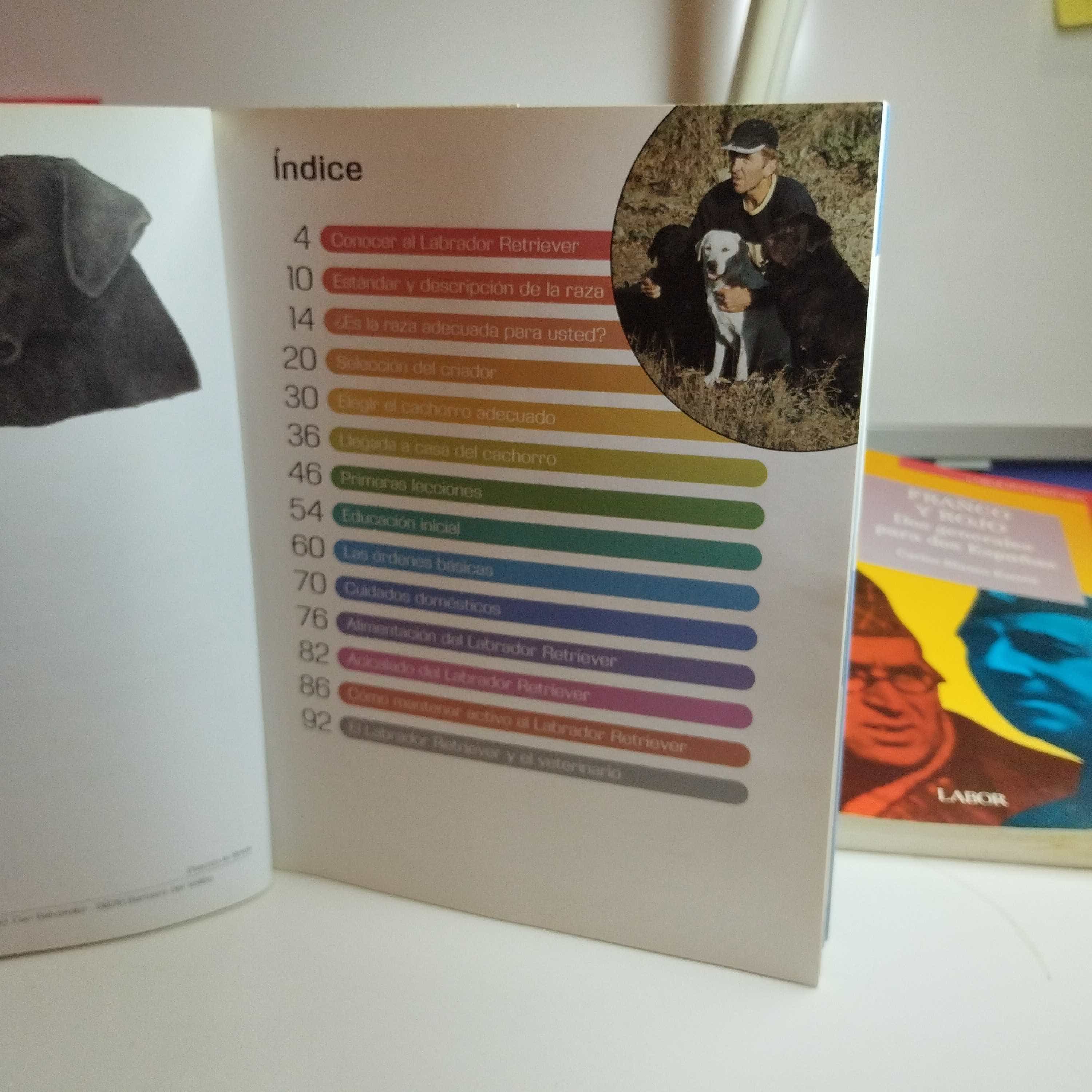 Imagen 2 del libro Labrador Retriever