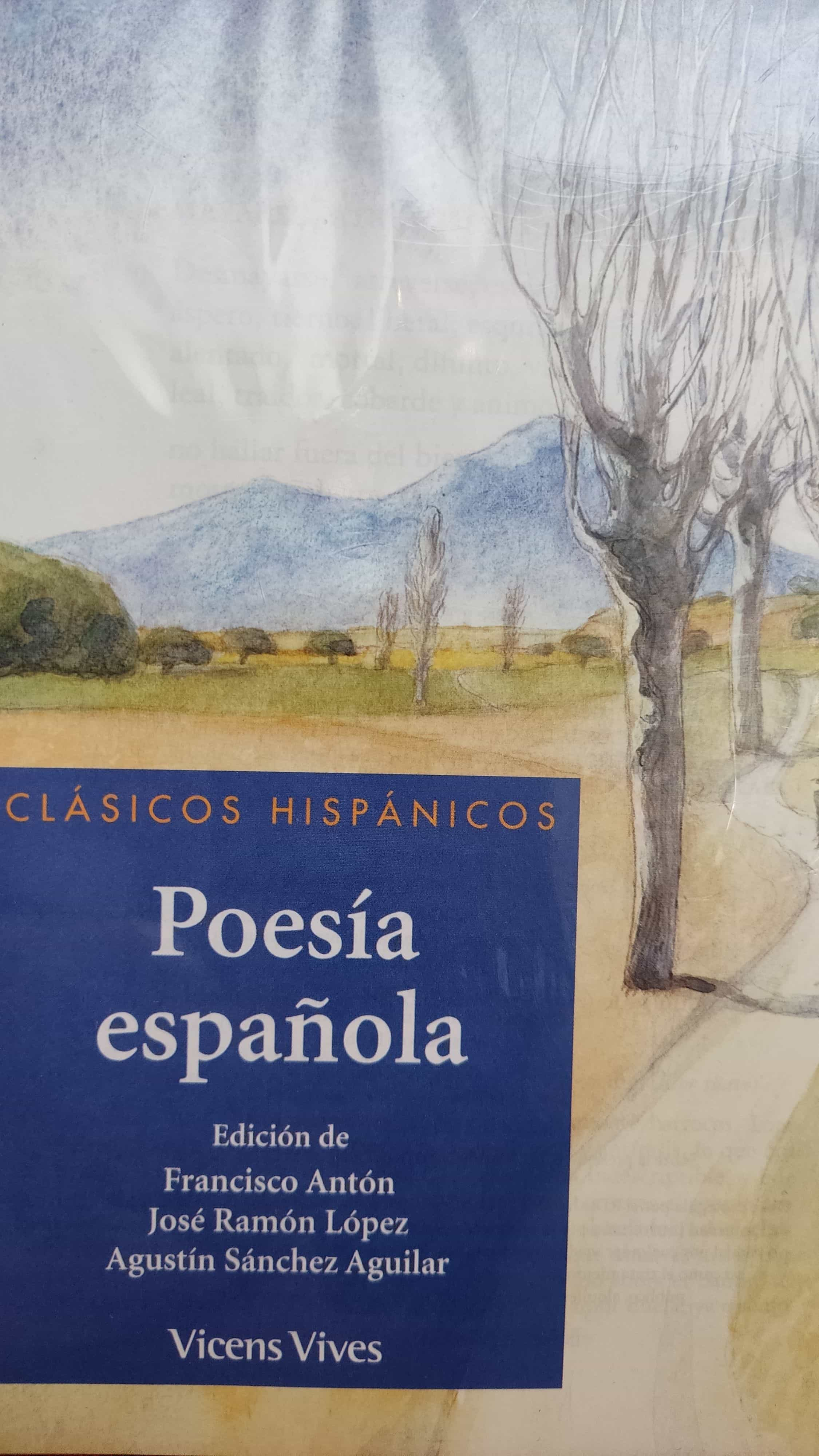 Explorando la Riqueza de la Poesía Española