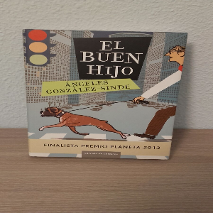 El buen hijo: Un relato conmovedor sobre la búsqueda de identidad y redención