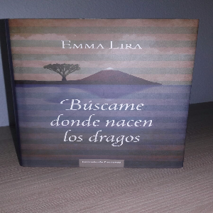 Búscame donde nacen los dragos: Una historia mágica llena de aventuras y fantasía