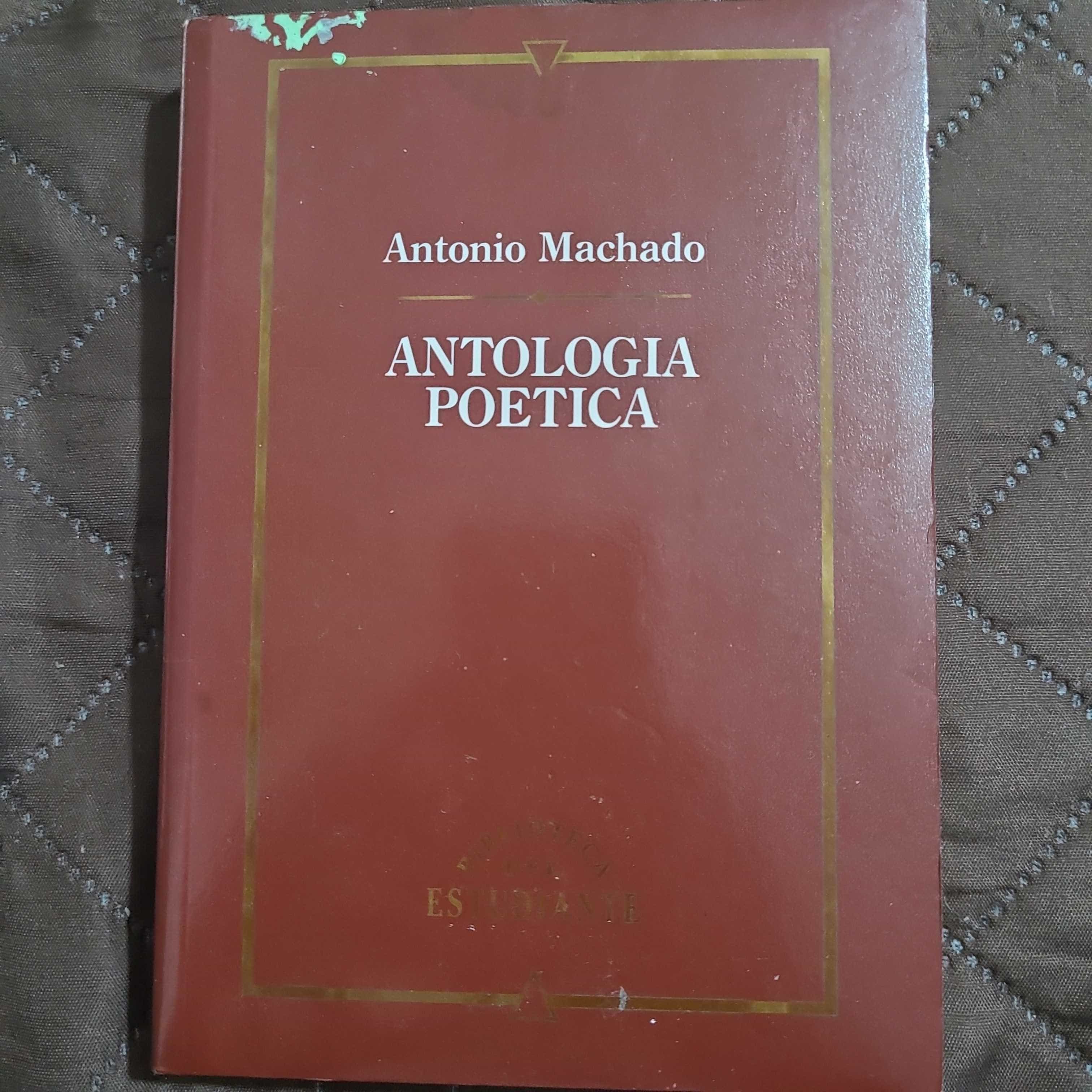 Libro de segunda mano: Antología poetica
