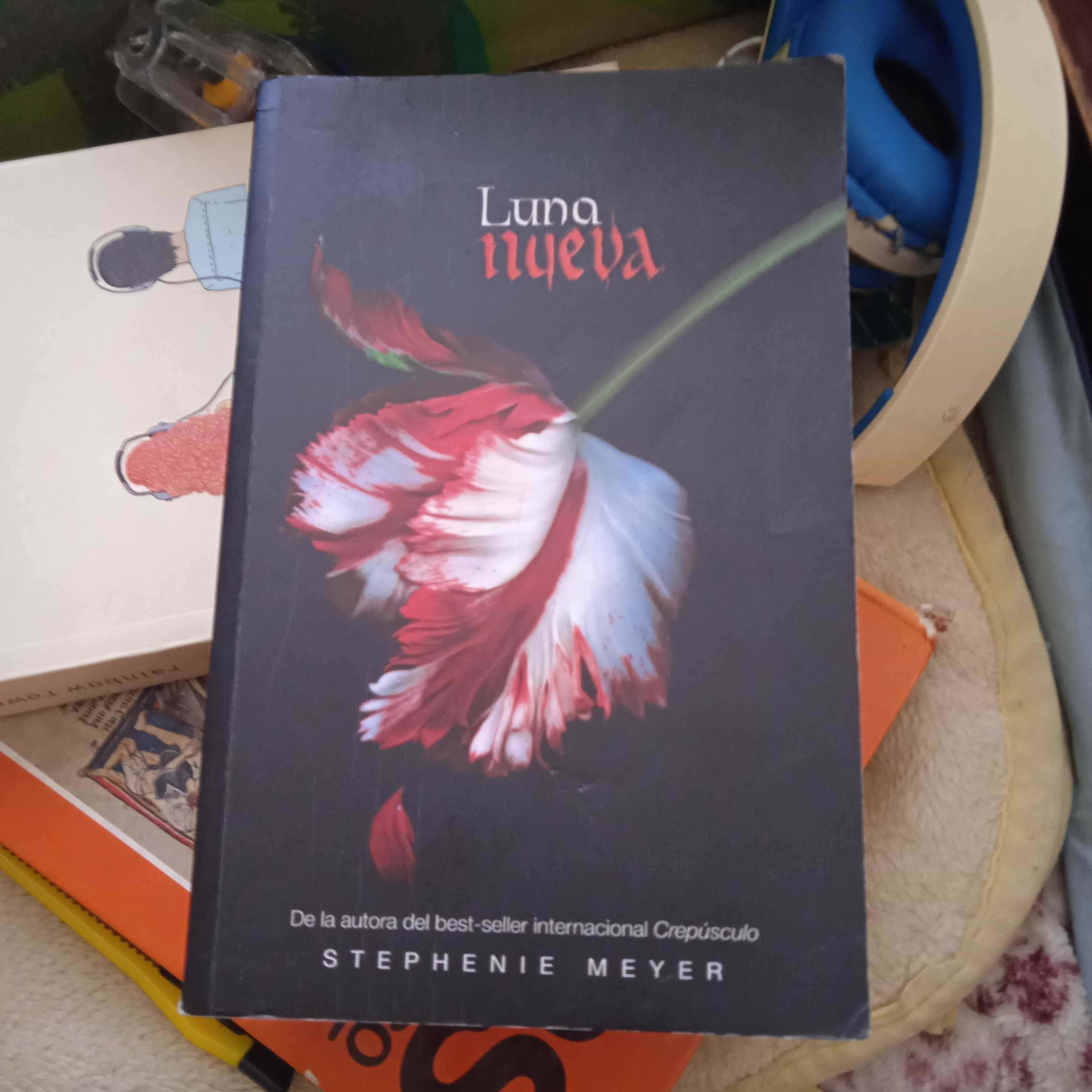 Luna Nueva Luna Nueva