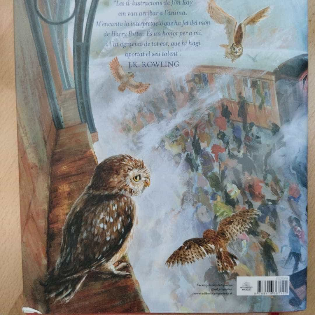 «La magia sigue buscando su verdadero propósito: ¿la pedra filosofal de Harry Potter es más allá del arte para la imaginación de los niños?»