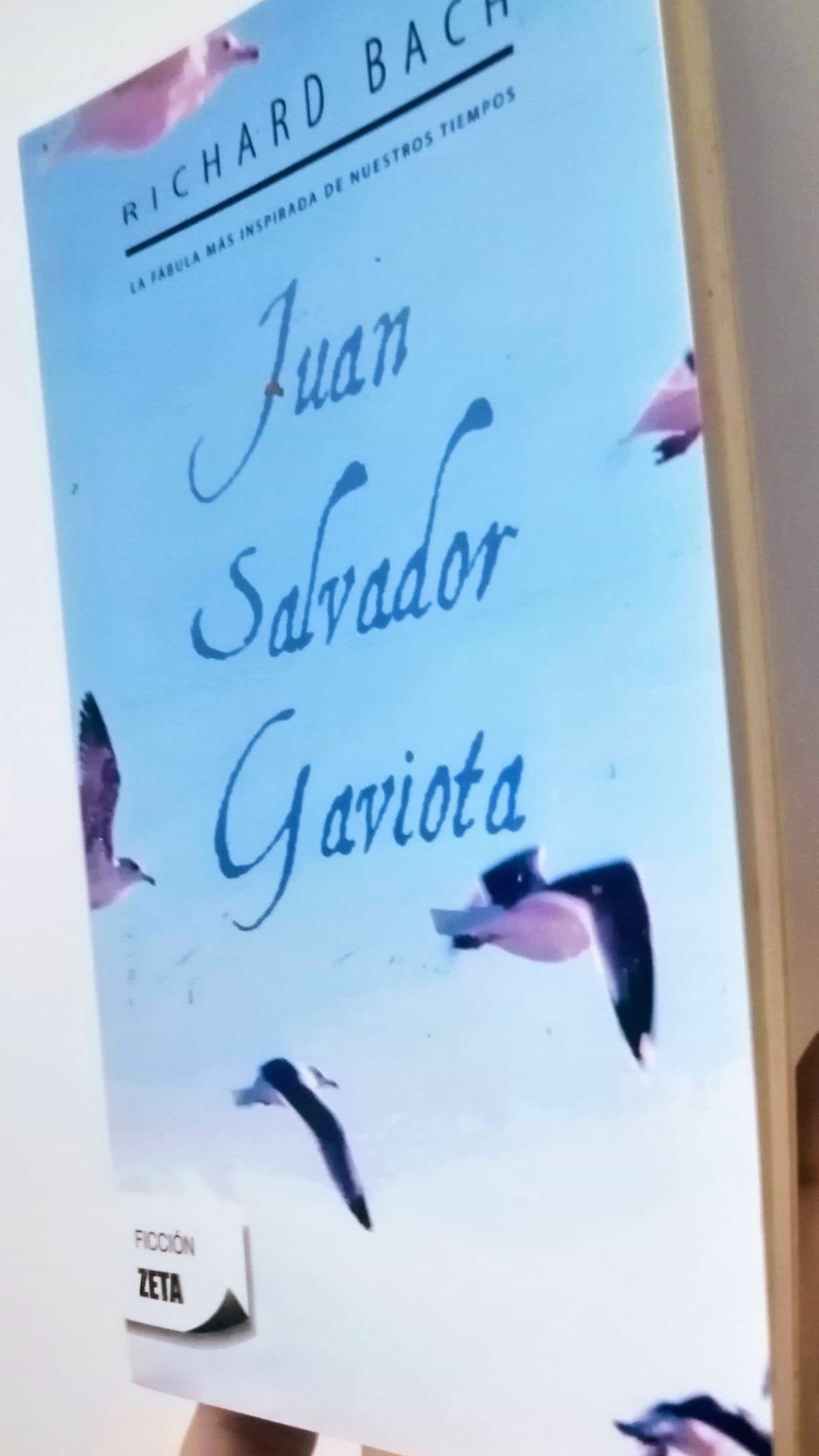 «Desliza tu vida al límite: ¡Un viaje emocionante hacia la libertad y la autoconciencia con Juan Salvador Gaviota!»