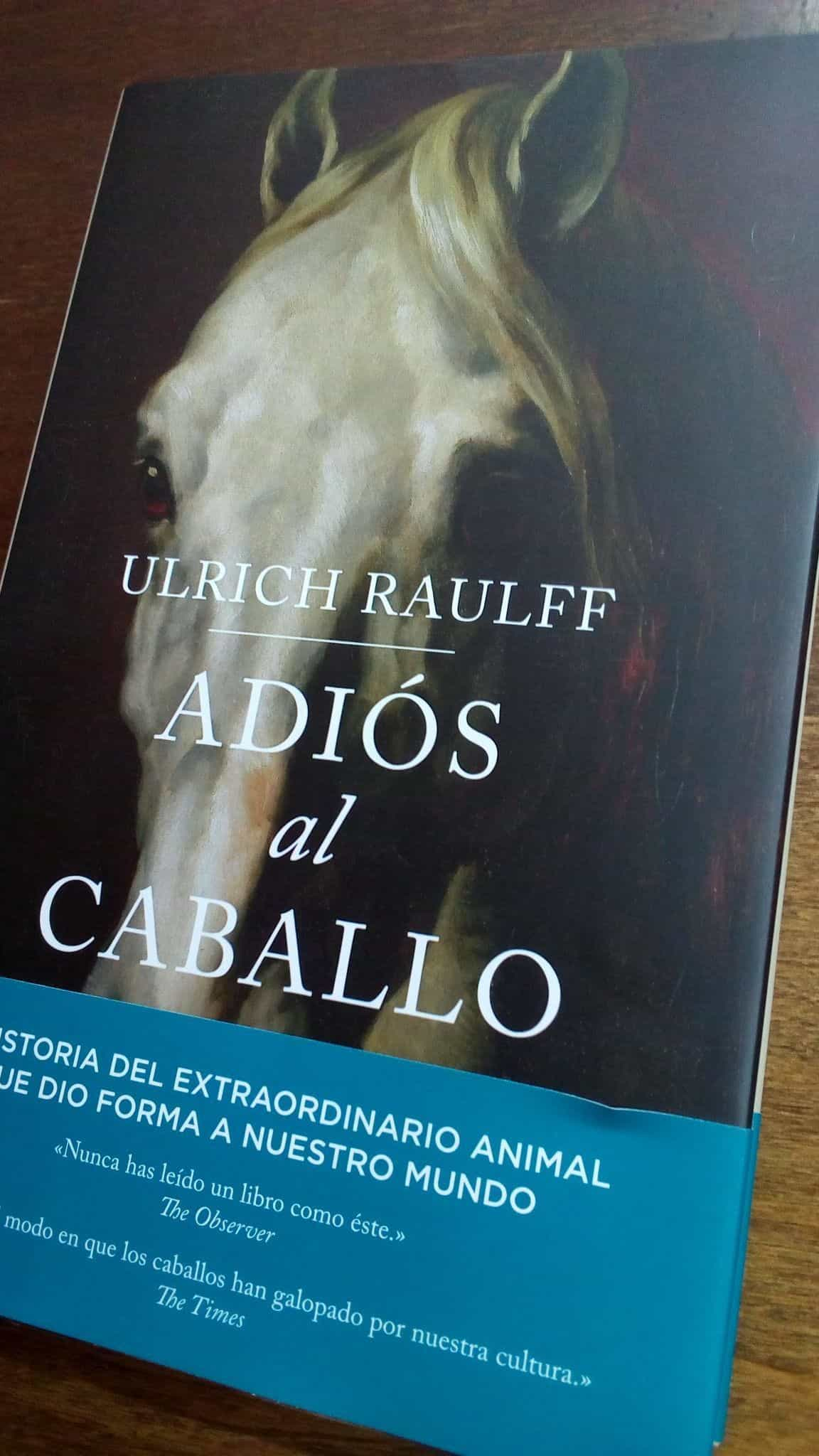 «¡Socorro en el caballo: ¡Un viaje emocionante hacia una nueva aventura como nido!»