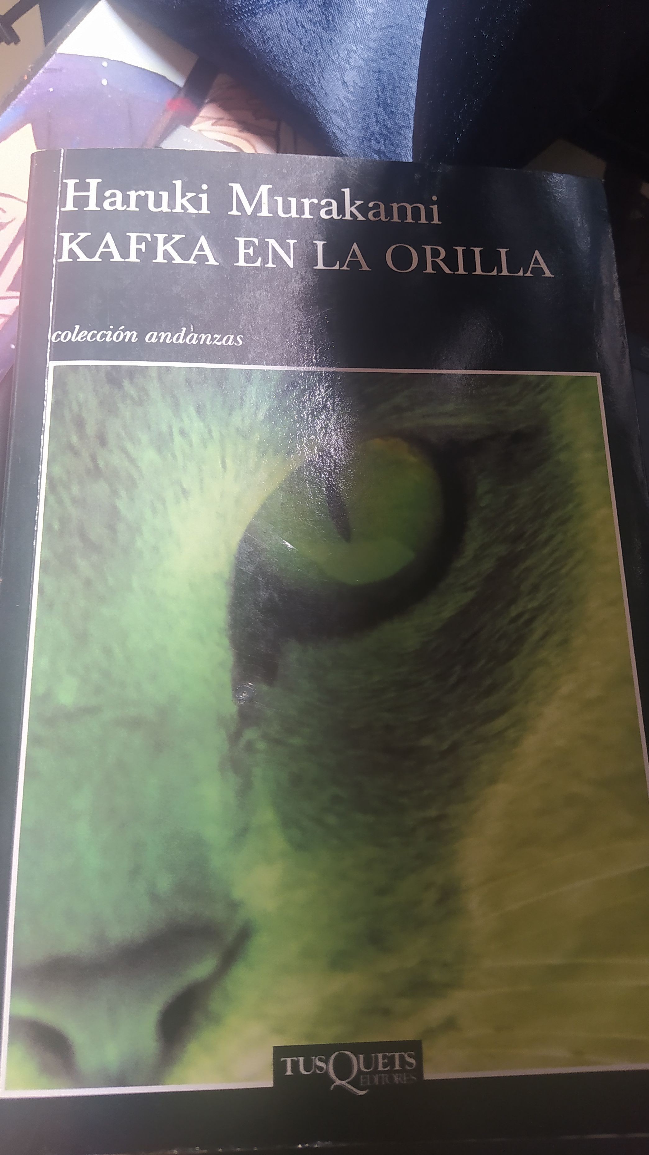 Kafka en la orilla