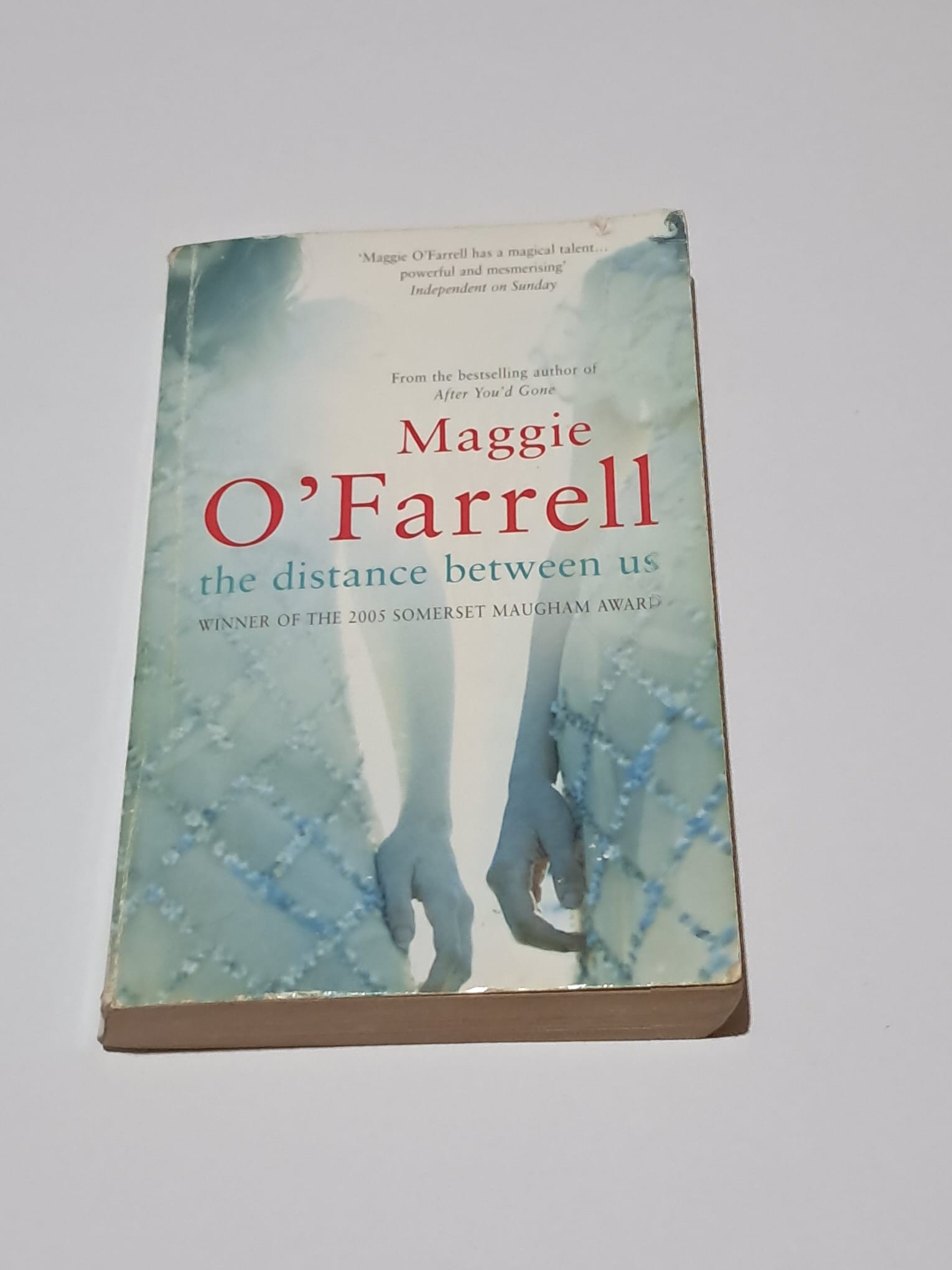 libro the distance between us  – «Despierta el amor en 100 páginas: ¡Maggie O’Farrell te explota con ‘El Distanciamiento'»