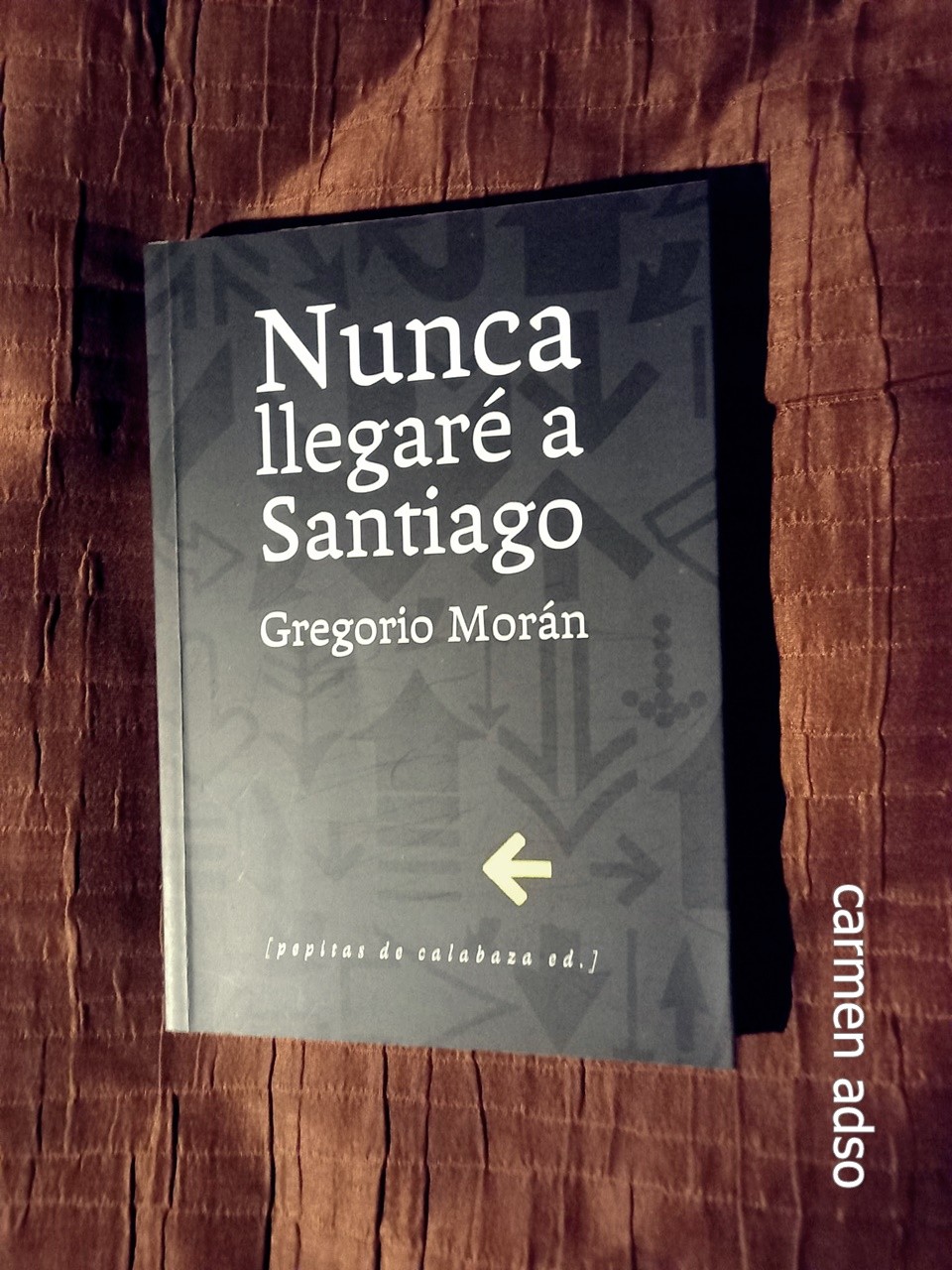 Nunca llegaré a Santiago – «El viaje que nunca fue: Una exploración emocionante y profunda en ‘Nunca llegaré a Santiago’ de Gregorio Morán»