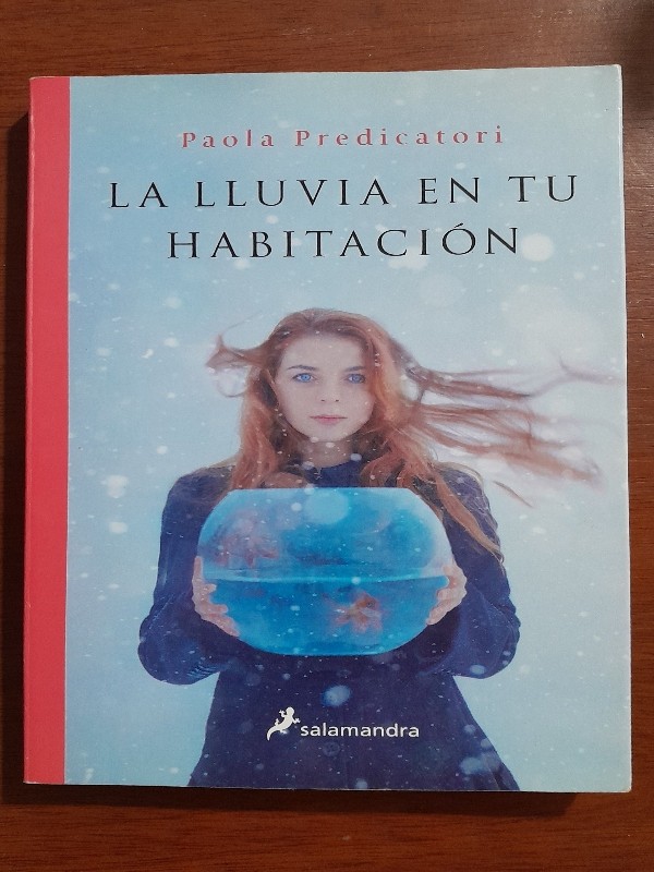 La Lluvia en tu Habitación – «La lluvia en tu habitación: Una explosión emocional que te dejará sin aliento»