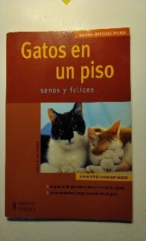 ¡Descubre el secreto para criar gatitos felices y sanos en un piso!