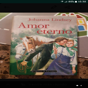 Amor Eterno (Johanna Lindsey)