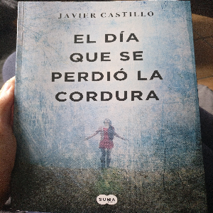 Sumérgete en la locura de El día que se perdió la cordura de Javier Castillo