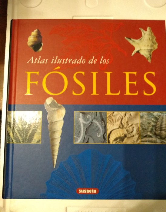 Libro de segunda mano: Atlas Ilustrado De Los Fosiles/ Illustrated Atlas of Fossils