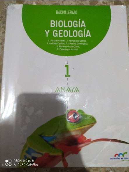Libro de segunda mano: Biologia Y Geologia 1 Bachillerato 