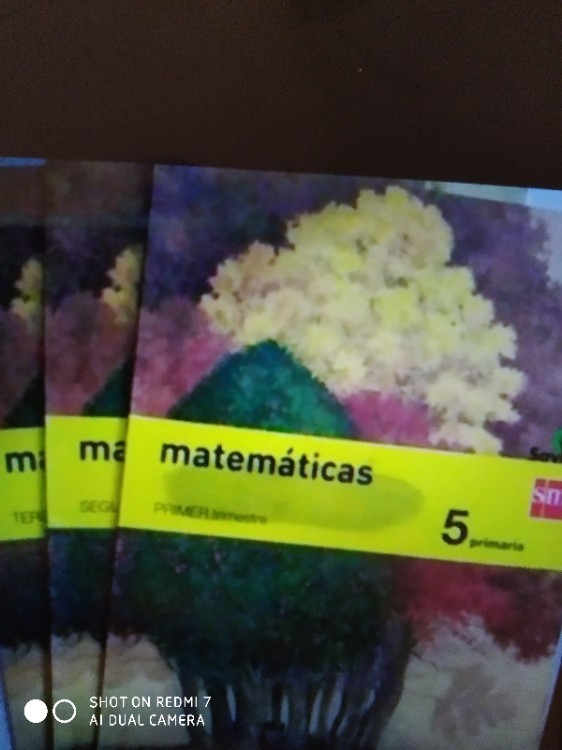 Libro de segunda mano: Savia, Matemáticas, 5 Educación Primaria. 1, 2 y 3 trimestres