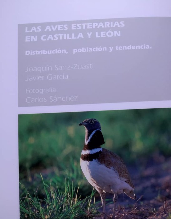 Libro de segunda mano: Las aves esteparias en Castilla y León. Distribución población y tendencia