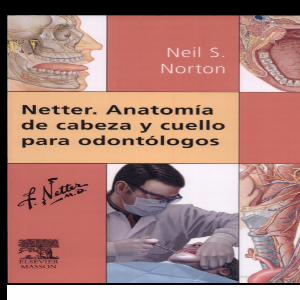 Libro de segunda mano: Anatomia de cabeza y cuello netter (libro en formato pdf)