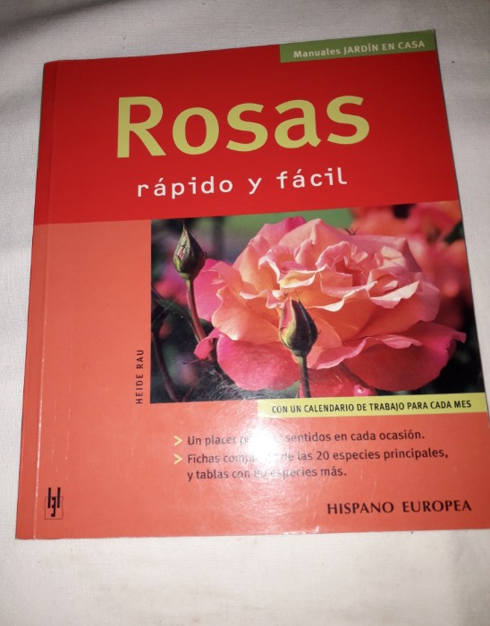 Libro de segunda mano: Rosas: rápido y fácil