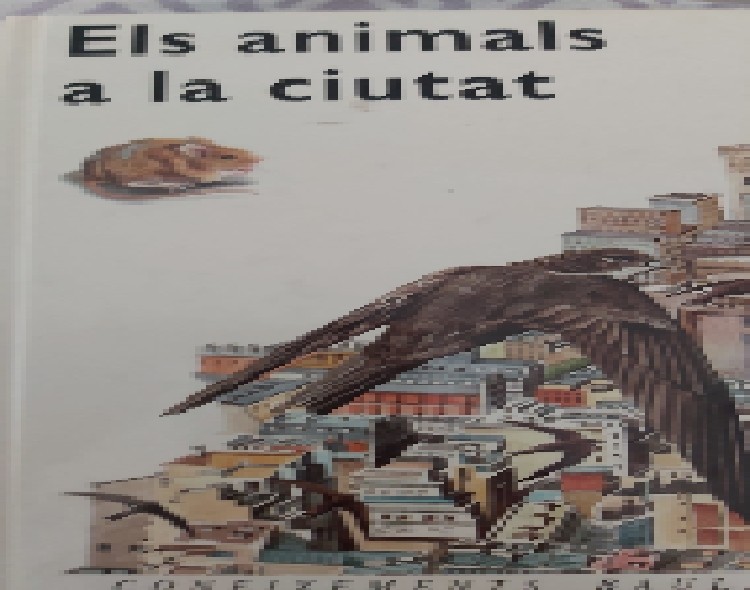 Libro de segunda mano: Els animals a la ciutat