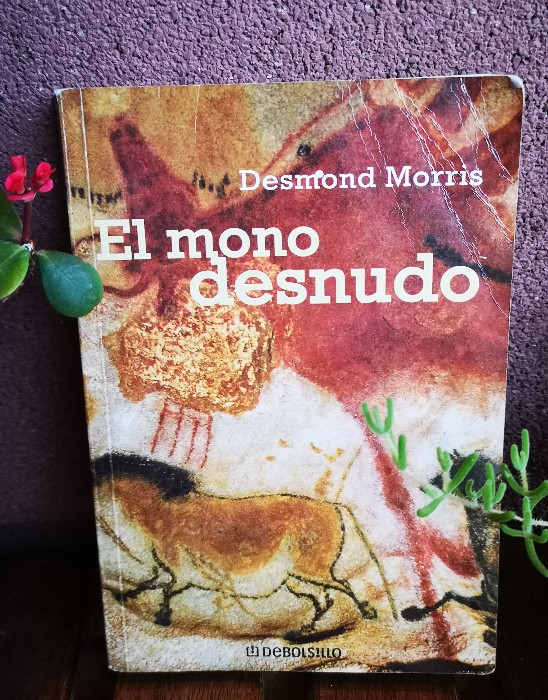 Libro de segunda mano: El Mono Desnudo/ the Naked Ape