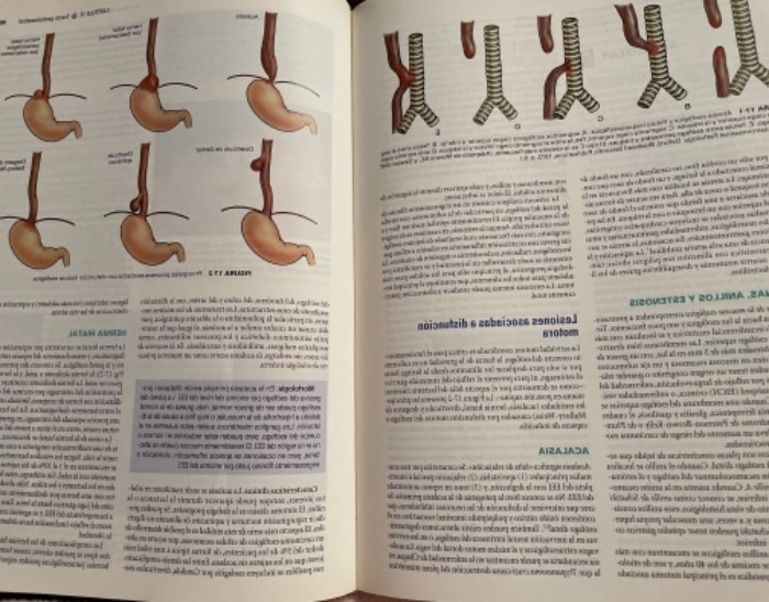Imagen 3 del libro Patologia estructural y funcional. - 7. ed.