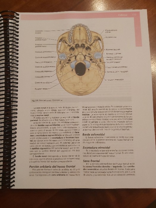 Imagen 2 del libro Anatomía Clínica