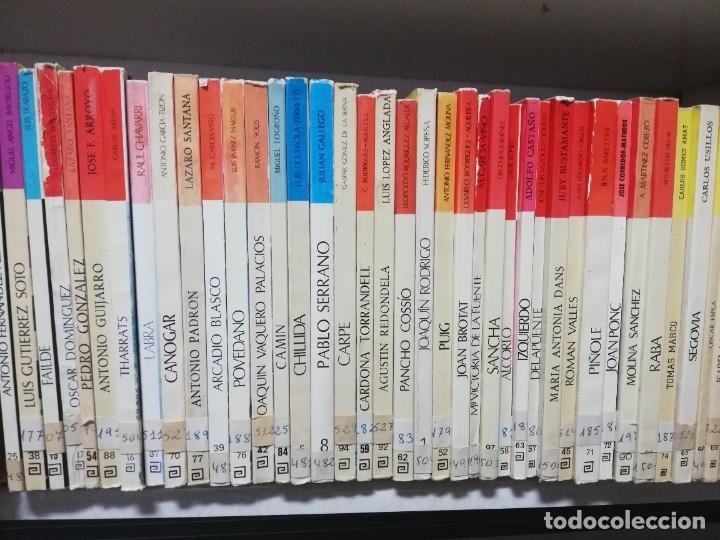 Imagen 3 del libro LOTE 61 LIBROS ARTISTAS ESPAÑOLES CONTEMPORANEOS