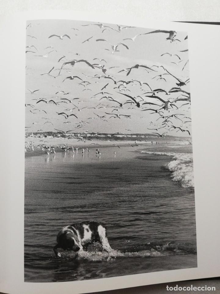 Imagen 3 del libro ARTESDOMAR RENATO MONTEIRO DA COSTA DE CAPARICA A FONTE DA TELHA