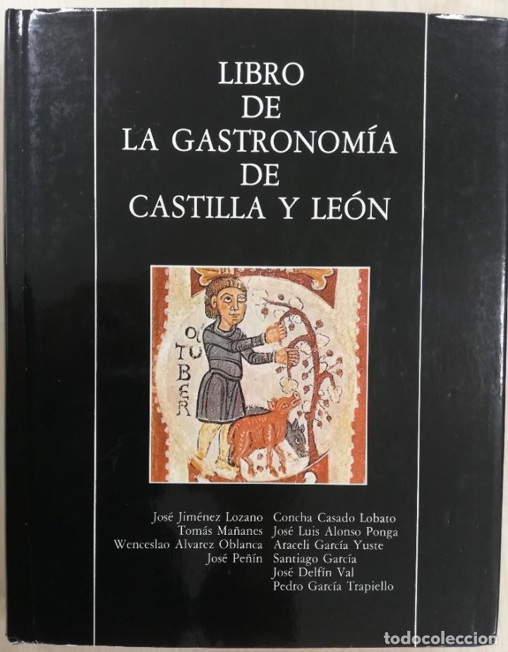 Libro de segunda mano: LIBRO DE LA GASTRONOMÍA DE CASTILLA Y LEÓN - VVAA