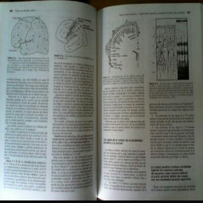 Imagen 2 del libro Tratado de fisiología 