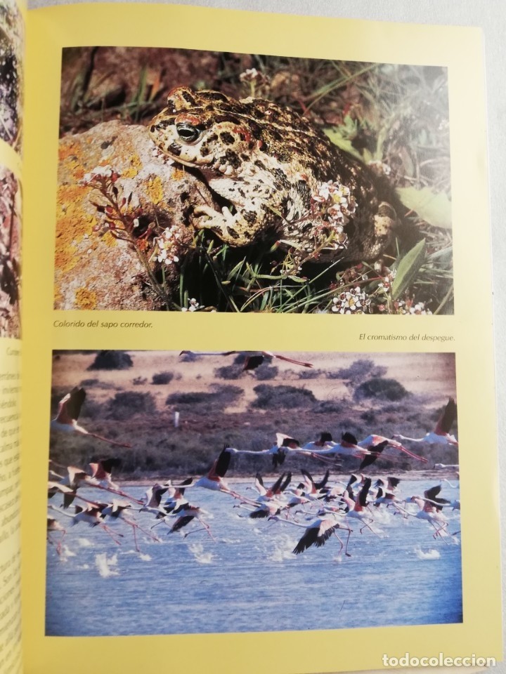 Imagen 2 del libro PARQUE NATURAL DE CABO DE GATA-NÍJAR - EVEREST