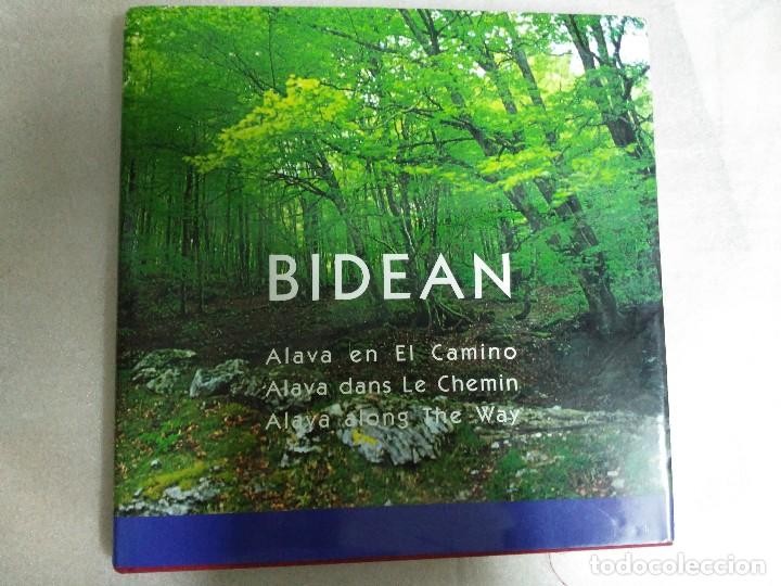 Libro de segunda mano: Araba Bidean = Alava En El Camino = Alava Dans Le Chemin