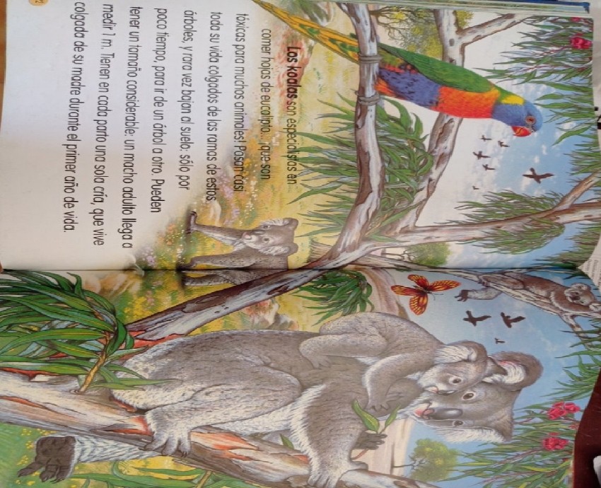 Imagen 2 del libro Animales Del Mundo n° 2