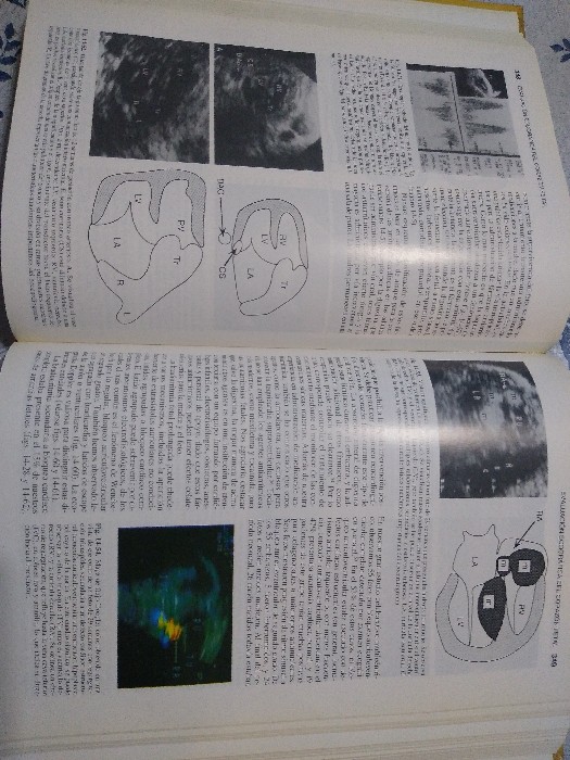 Imagen 2 del libro Ecografía en obstetricia y ginecología