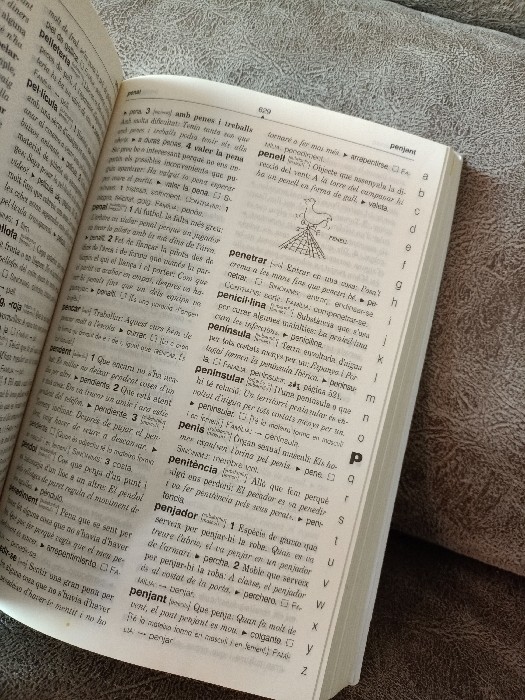 Imagen 3 del libro Diccionari Didactic