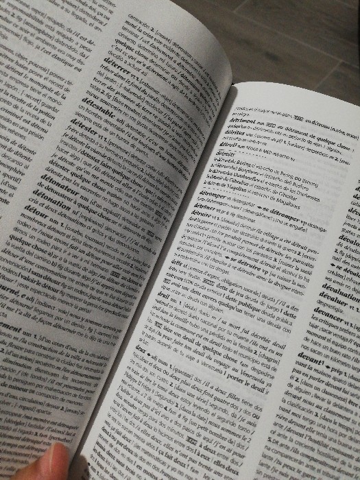 Imagen 3 del libro Diccionario Francés