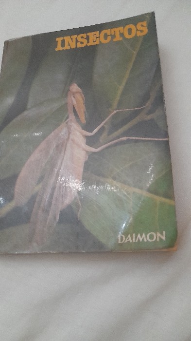 Libro de segunda mano: Insectos y arácnidos