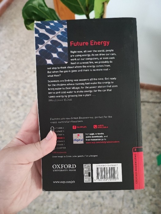 Imagen 2 del libro Future Energy