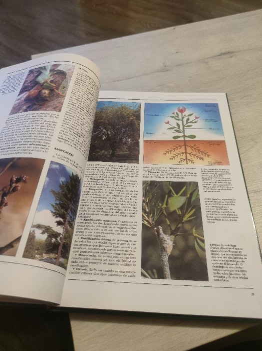 Imagen 3 del libro Atlas de botánica - El mundo de las plantas