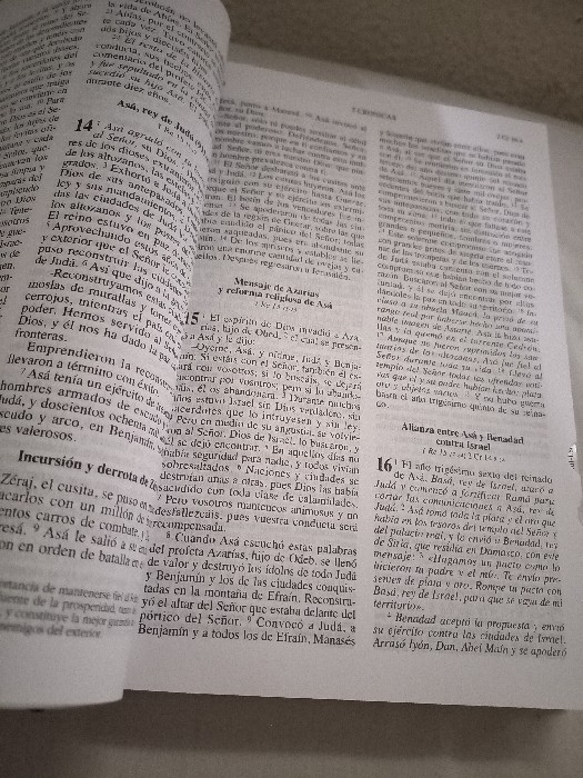 Imagen 2 del libro La Biblia. Manual